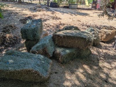 free grass hay, small bails in American Fork