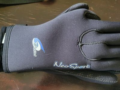 Neosport 7mm Gloves