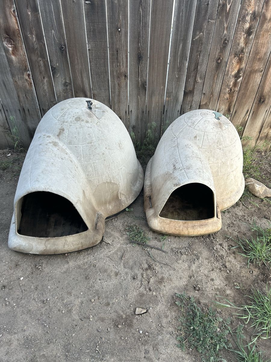 Dog house