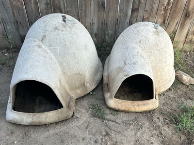 Dog house