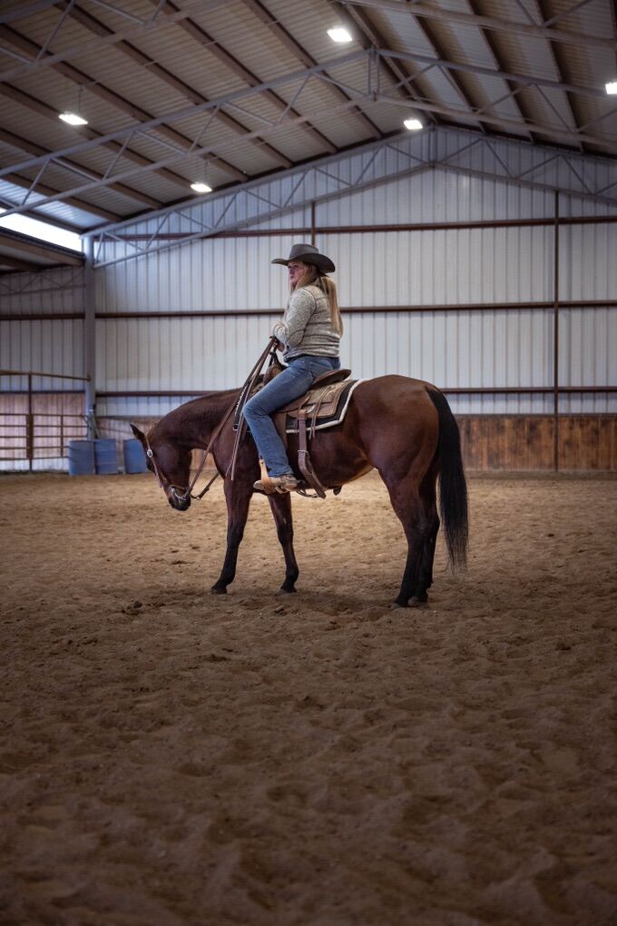 Sorting, reining, Cow Horse. Finished