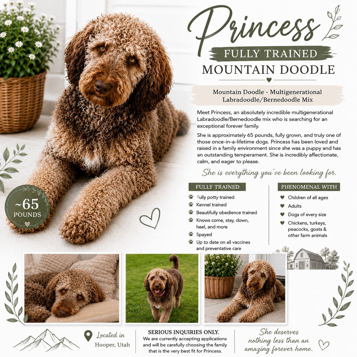 Mountain doodle- princess