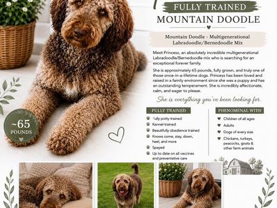 Mountain doodle- princess