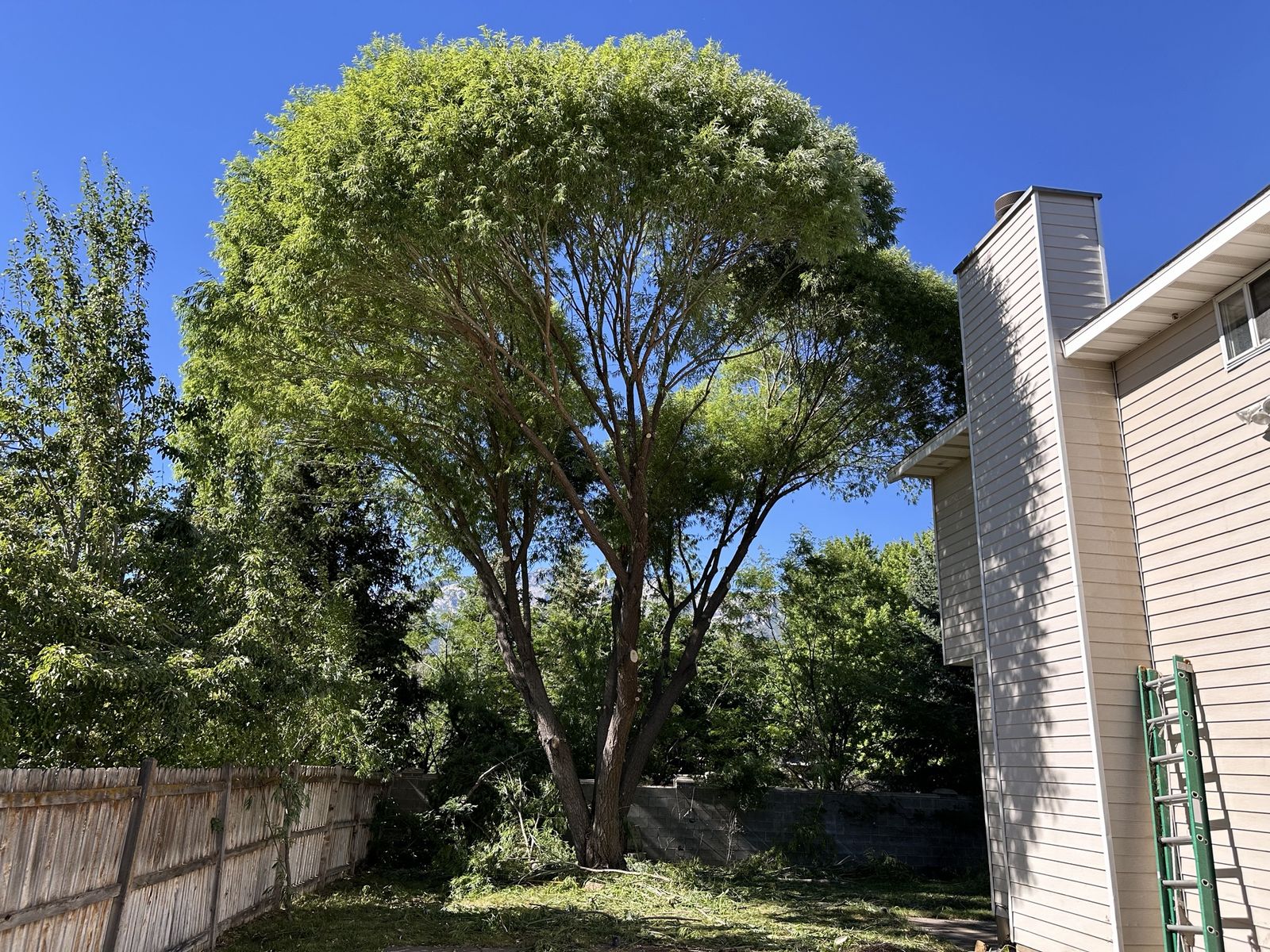 Main image 5