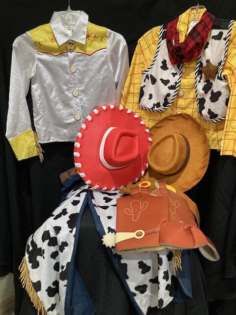 Toy Story JESSE and WOODY Set    $25 Each