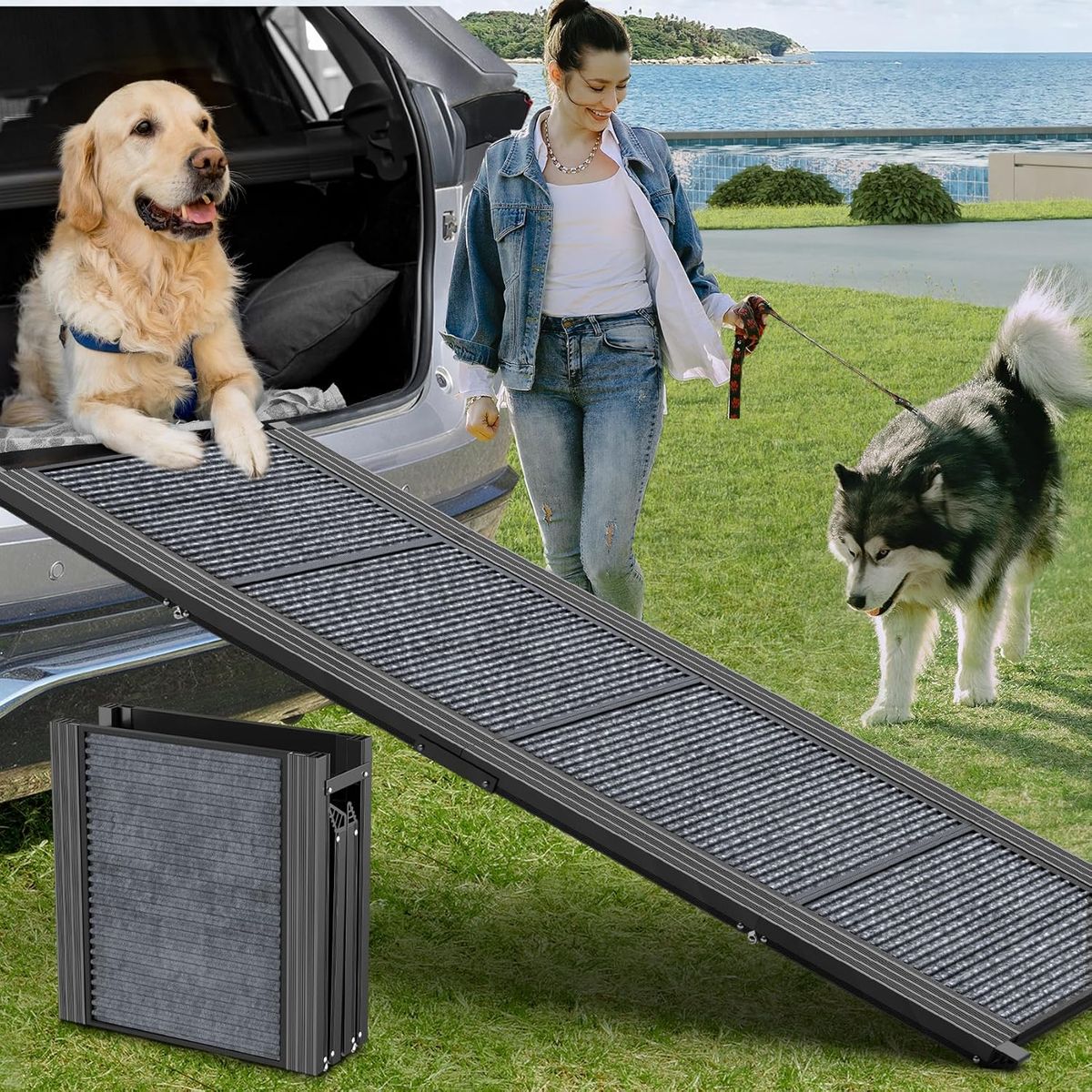 Dog Ramp for Car, Never Used