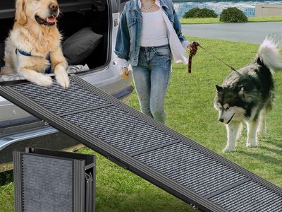 Dog Ramp for Car, Never Used