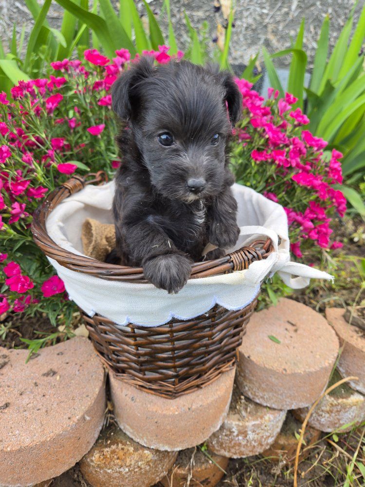 Main image 5