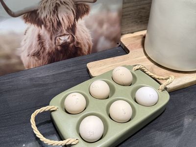 Serama Hatching Eggs