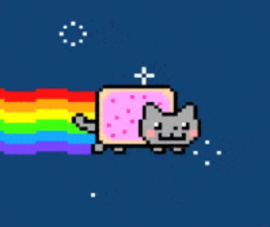 Nyan Cat Meme Graphic Art private seller test