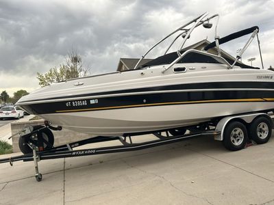 2002 24ft Four Winns Funship