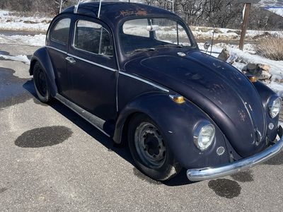 1963 Volkswagen Beetle
