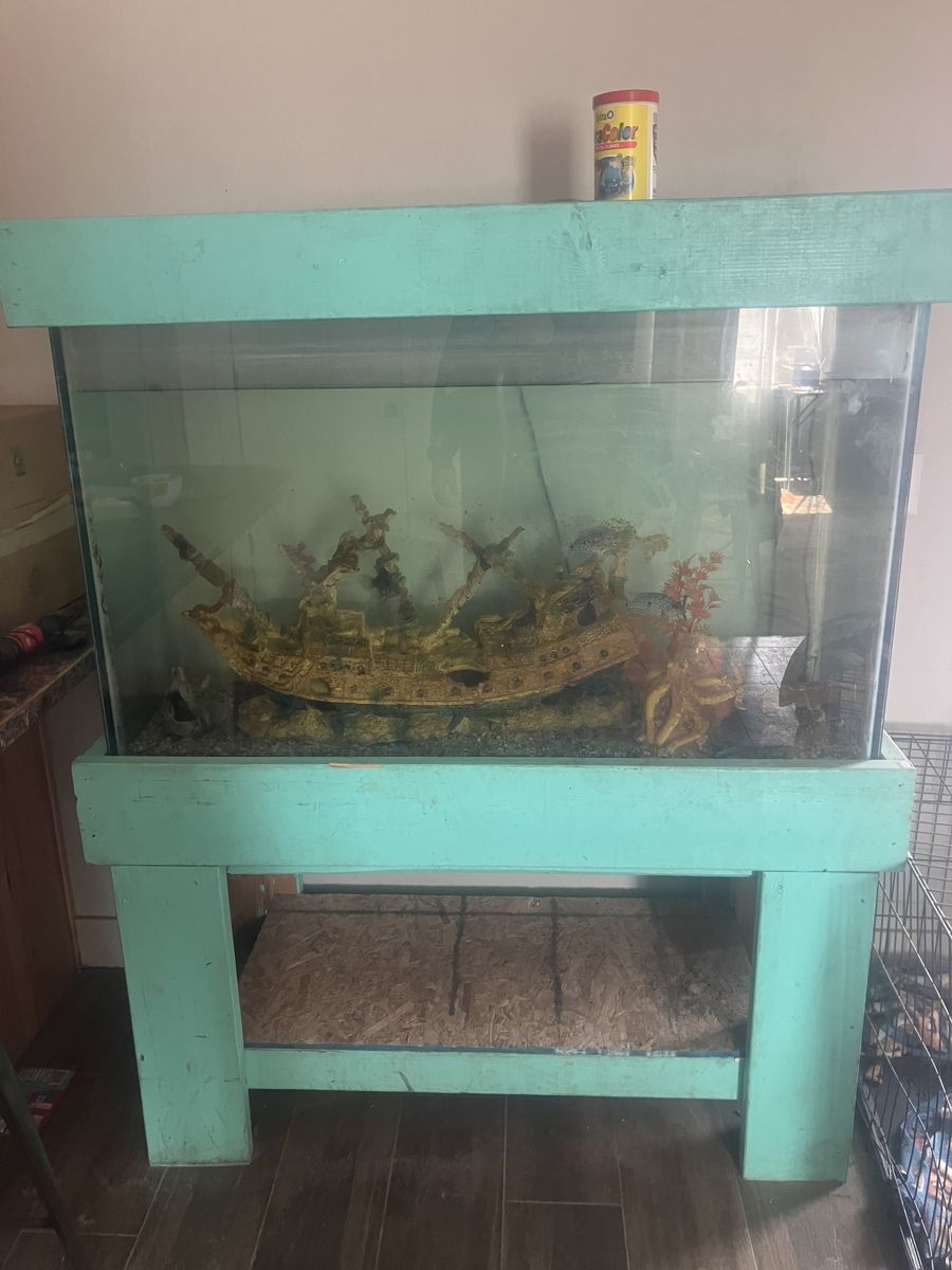 110 Gallon Fish tank