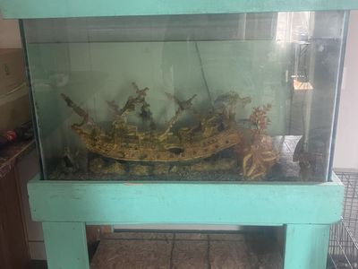 110 Gallon Fish tank