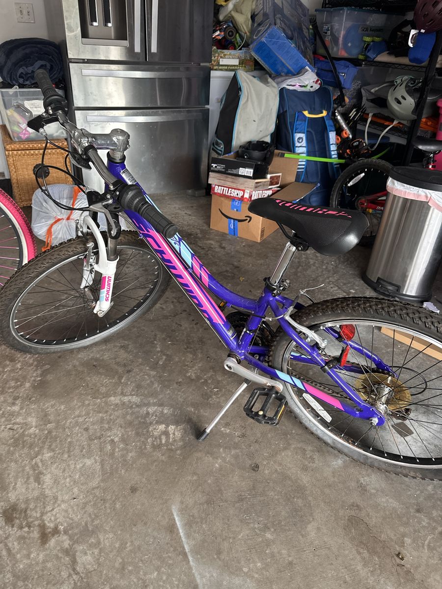 Schwinn Bike