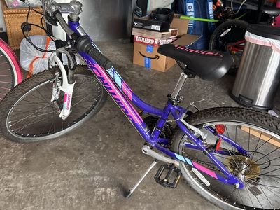 Schwinn Bike