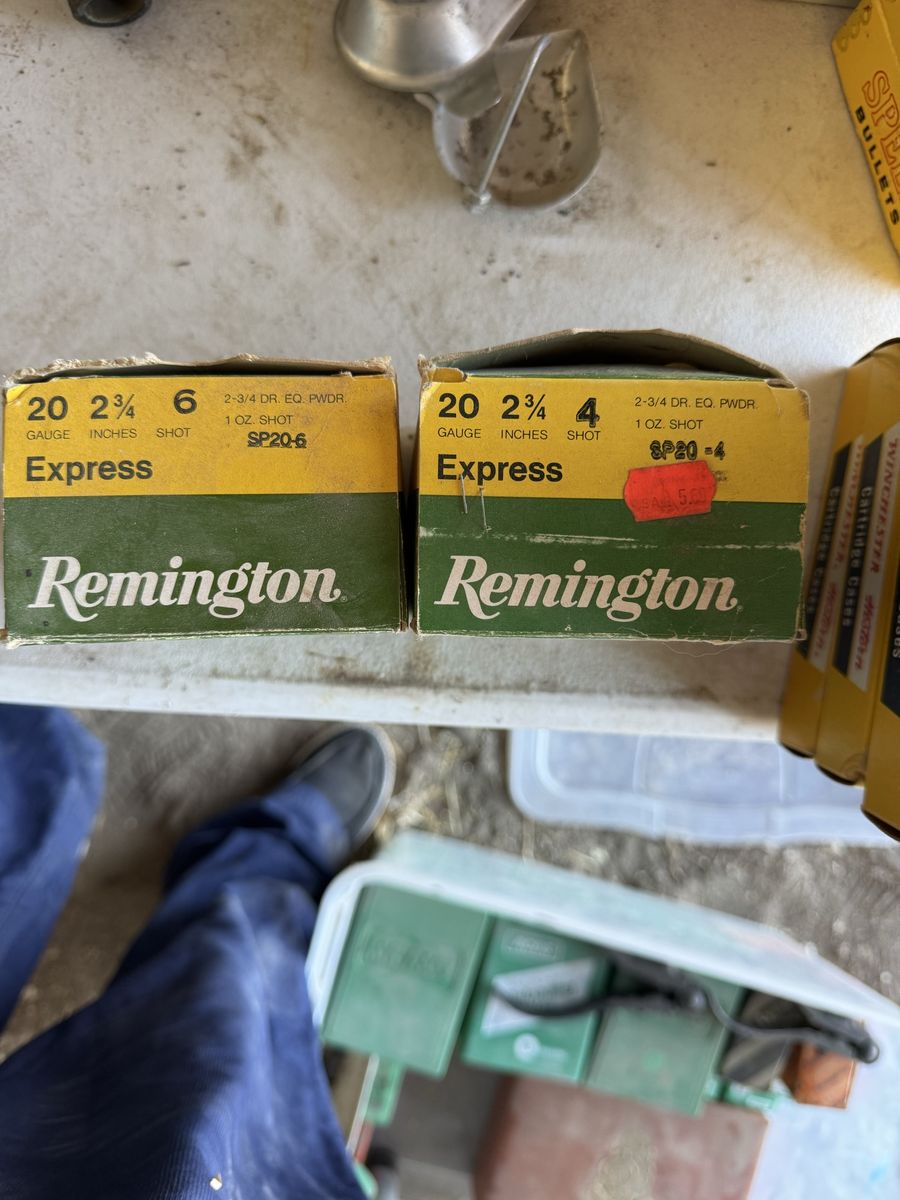 Remington Express 20 Gauge 2-3/4 Inch Shotgun Shells - 2 Boxes