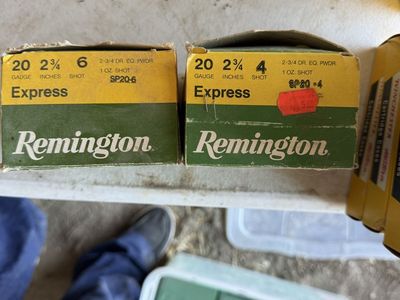Remington Express 20 Gauge 2-3/4 Inch Shotgun Shells - 2 Boxes