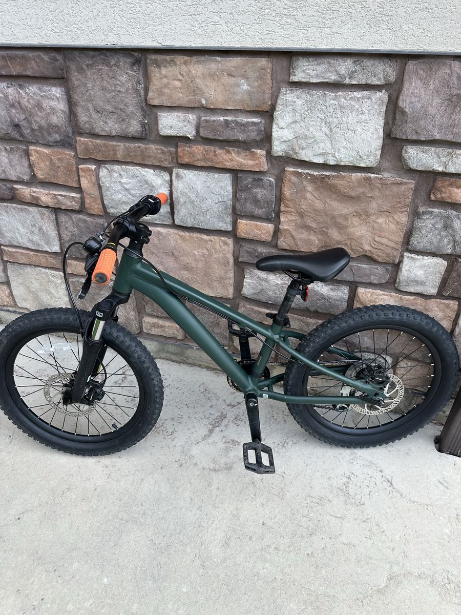 Giant stp kids 20” mountain bike