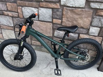 Giant stp kids 20” mountain bike