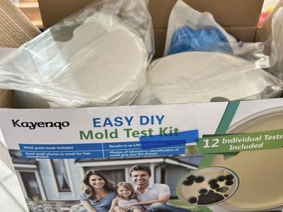 Kayenqo Easy DIY Mold Test Kit - 12 Individual Tests, Results in 48 Hrs, Guidebook & Consultation