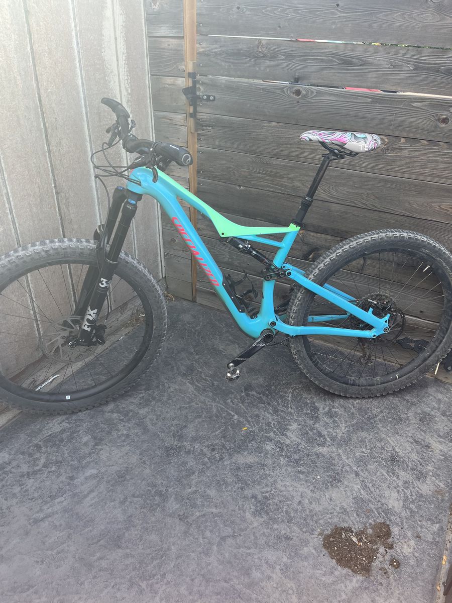 2017 Specialized Stumpjumper - Medium