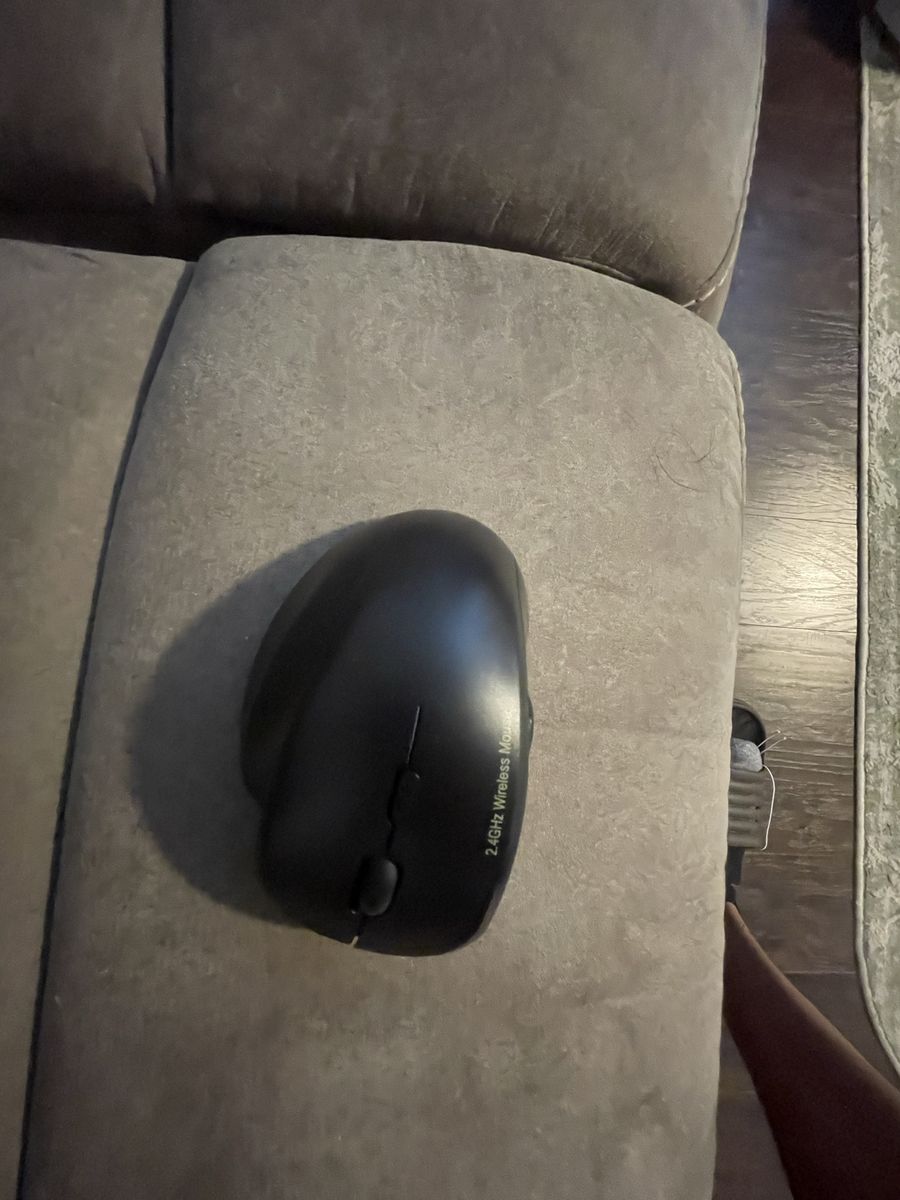 Computer Mouse