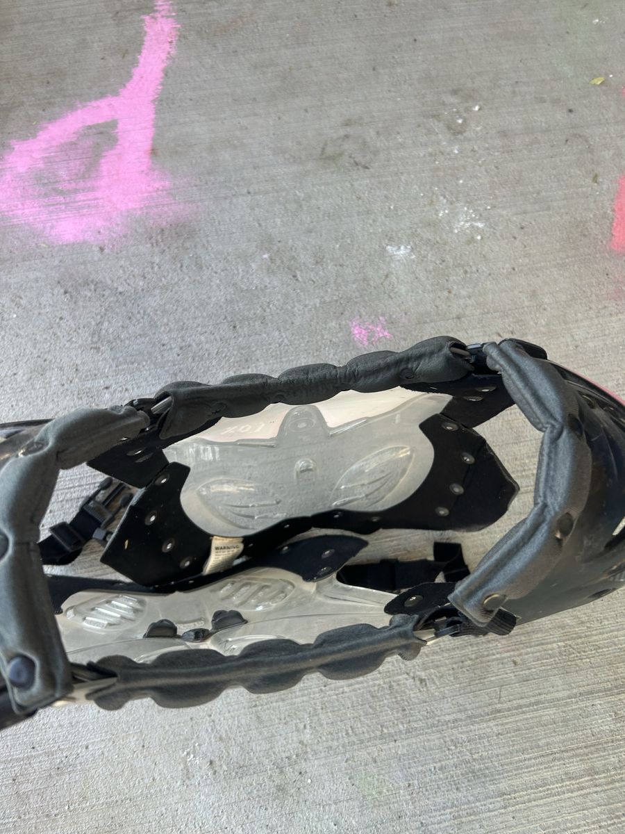 Unbranded Clear Plastic Chest Protector, Padded, Adjustable Straps