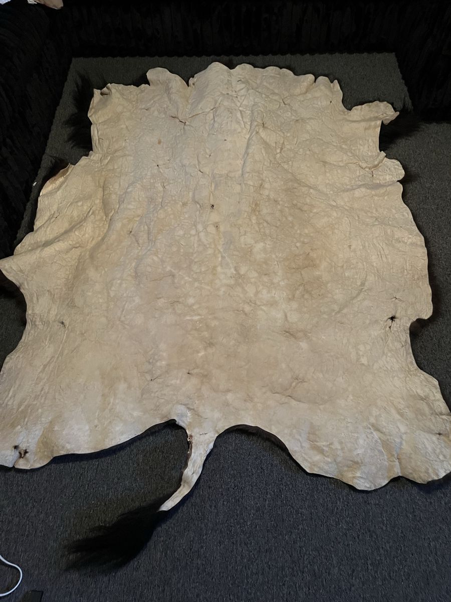 Buffalo Rug