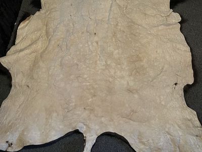 Buffalo Rug