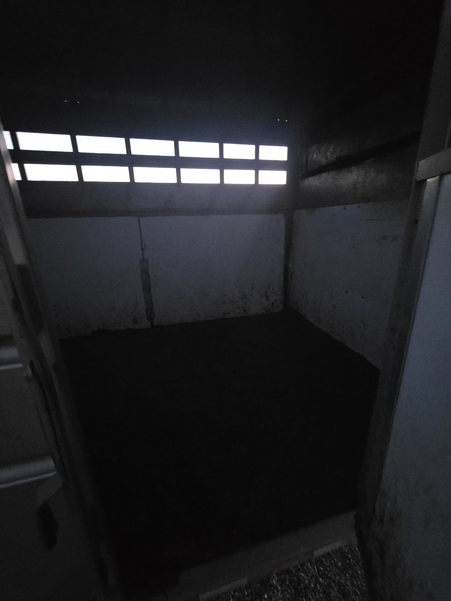 Main image 7