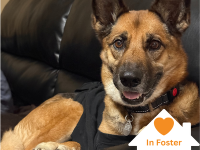 Hello my name is Portia