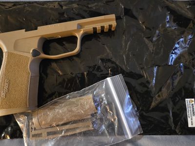 Sig Sauer P365 Xmacro Grip Module coyote brown