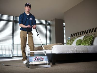 Profitable Carpet Cleaning Business for Sale