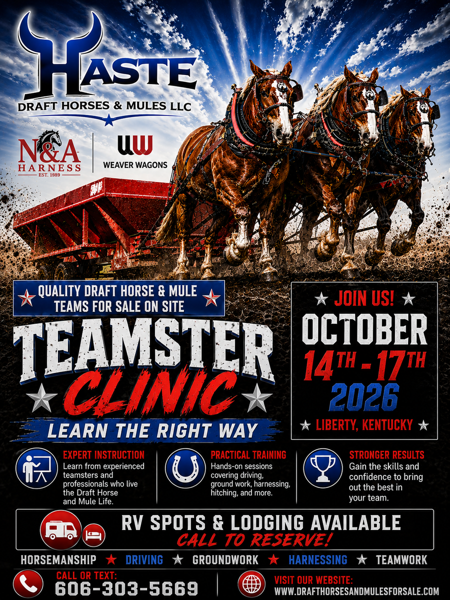 Draft Horse & Mule Teamster Clinic