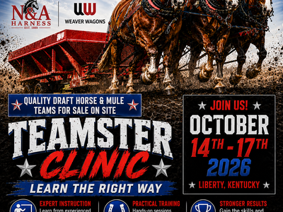 Draft Horse & Mule Teamster Clinic