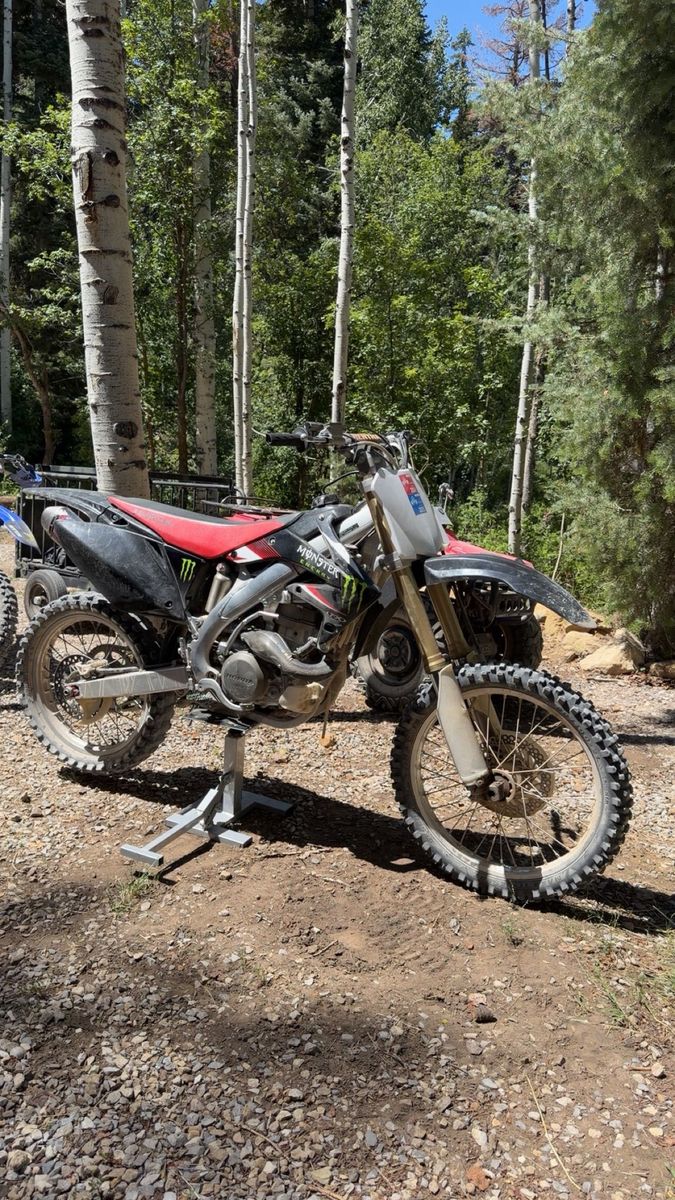 2009 crf 450r