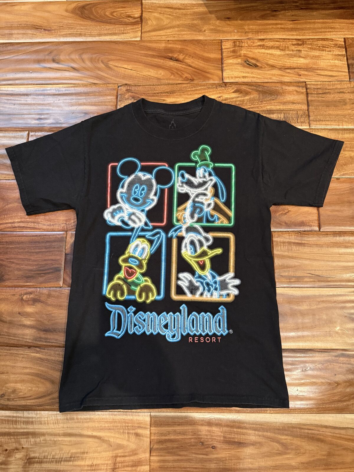 Men Size Small Disneyland Shirt