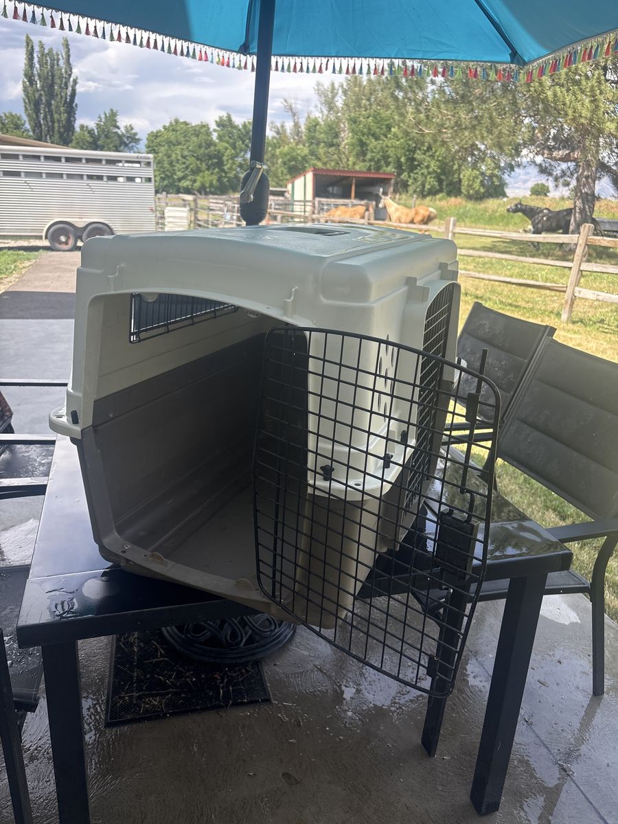 Pet Carrier Crate, Large Travel Kennel, Tan/Brown, for Dogs/Cats
