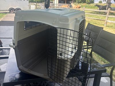 Pet Carrier Crate, Large Travel Kennel, Tan/Brown, for Dogs/Cats