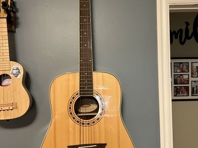 Washburn WD20S acoustic guitar