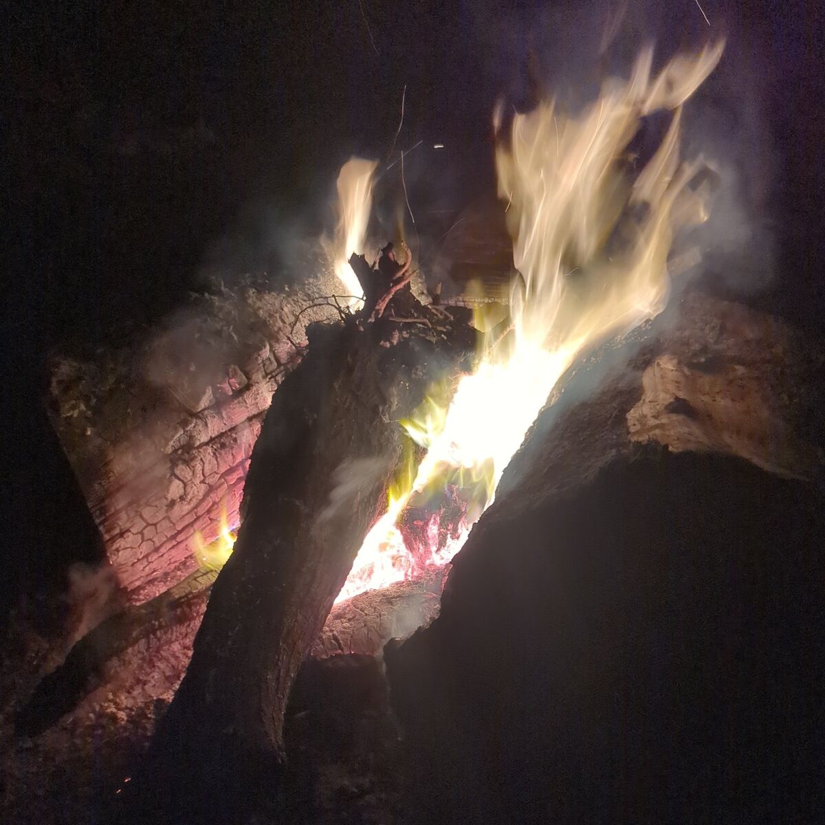 FIREWOOD BUNDLES DELIVERED