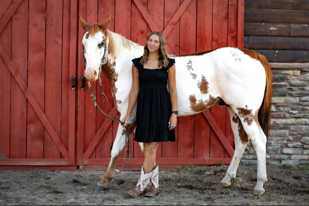 Gelding Barrel Horse