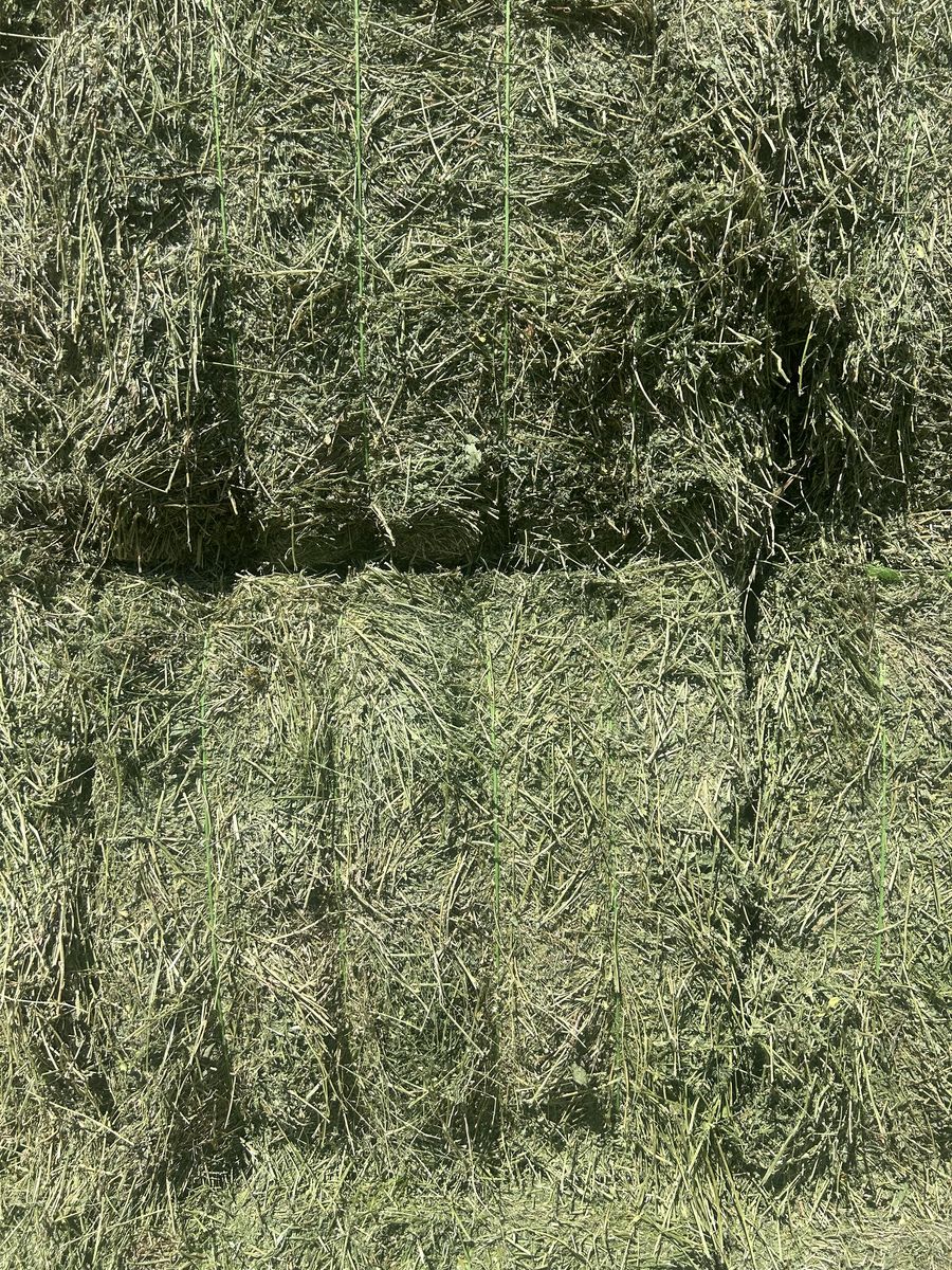 Main image 3