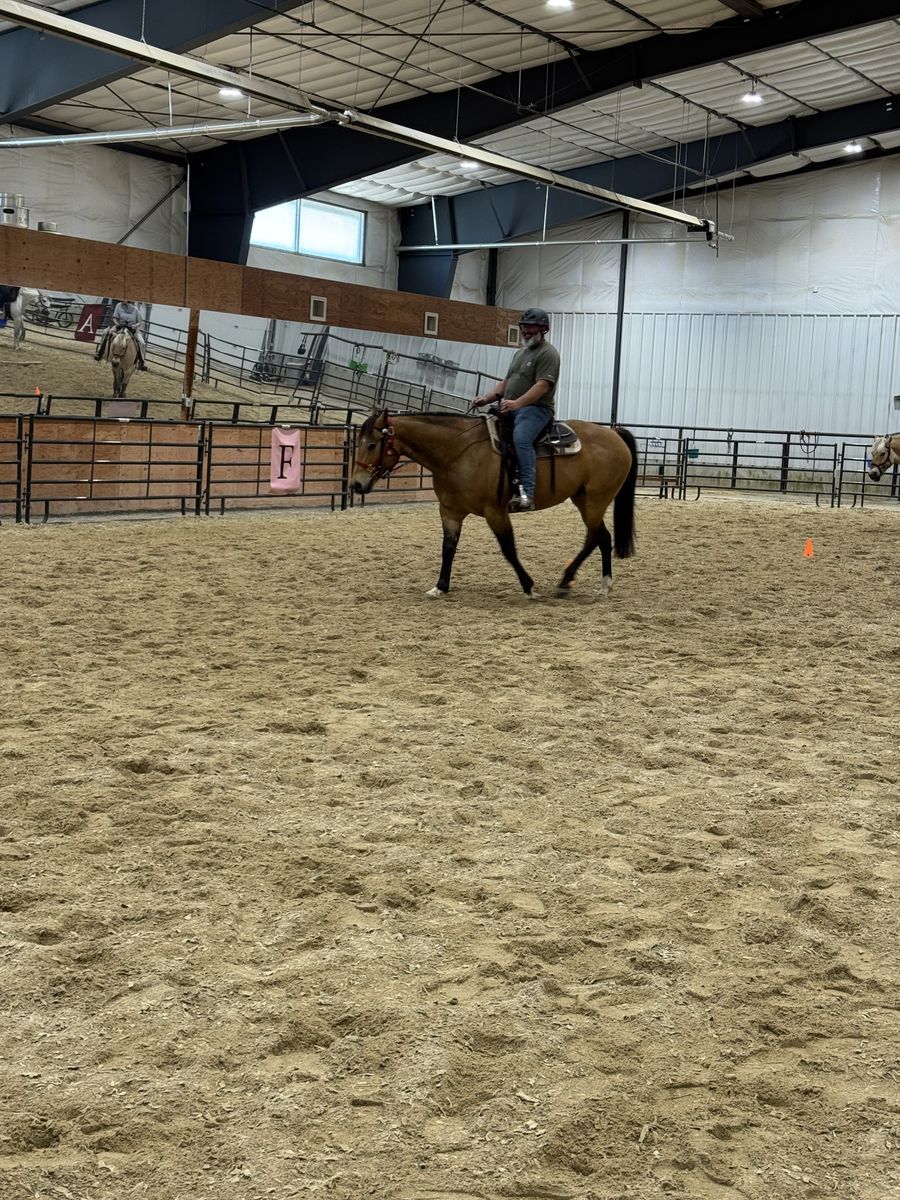 Horse Riding Lessons – Beginners Welcome (Sandy, UT)