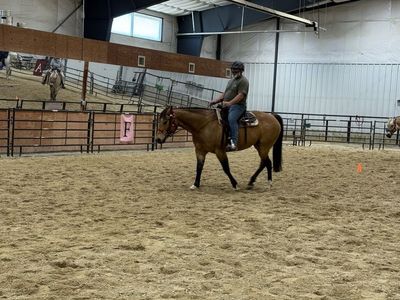 Horse Riding Lessons β Beginners Welcome (Sandy, UT)