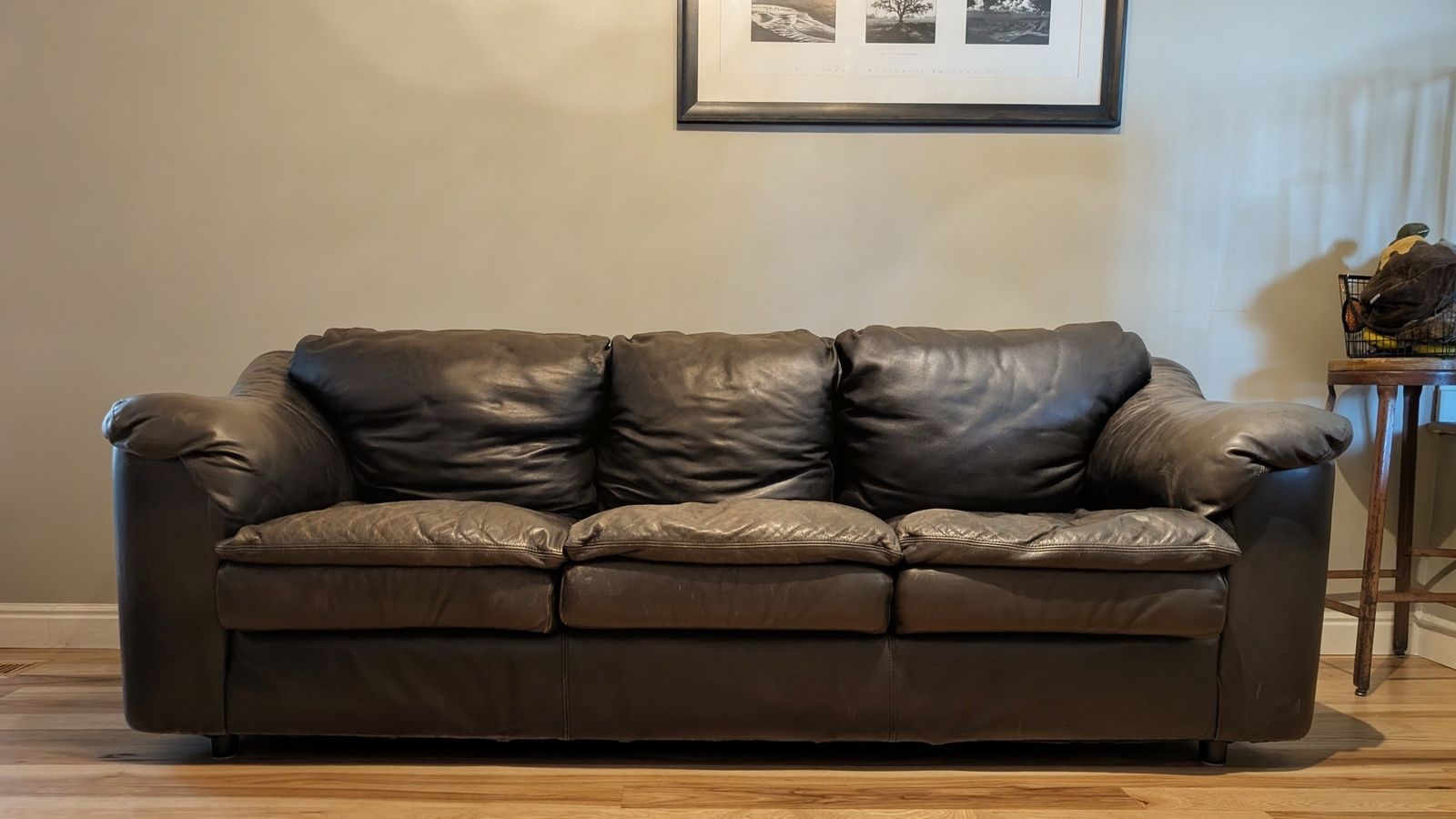 Leather Couch