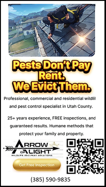 Wildlife and Pest Solutions