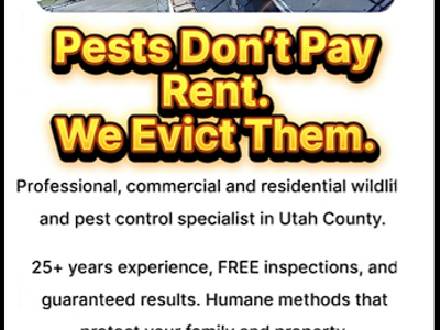 Wildlife and Pest Solutions