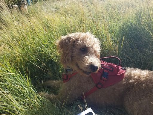 Main image 3